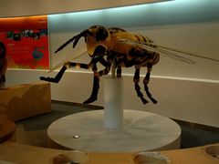 -陕西自然博物馆