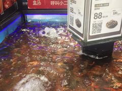 -盒马鲜生(岭南新世界店)