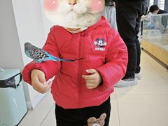 -怪兽屋·羊驼·猫咖·狗咖(俊华广场店)