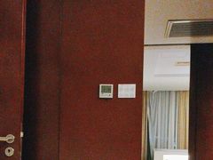 -南桥绿地铂骊酒店