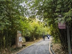-花溪公园