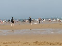 -日照海滨国家森林公园