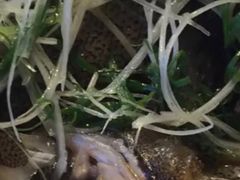 清蒸石斑鱼-鱼乐轩·俄罗斯海鲜直供餐厅(群力店)