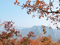 -周口店坡峰岭风景区