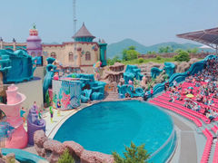 -杭州长乔极地海洋公园