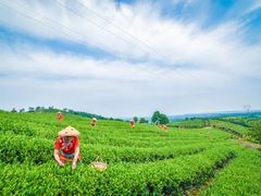 -敬亭山风景名胜区