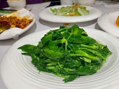豌豆尖-峨嵋酒家总店(车公庄店)