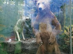 -国家自然博物馆