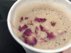 -Seesaw Coffee(上海国金中心店)
