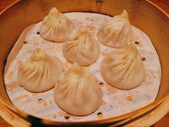 苏小柳金奖鲜肉小笼-苏小柳手工点心(人民广场分院)