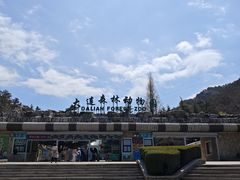 -大连森林动物园