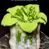 深圳首家！三刷kcooking菜单总结（攻略