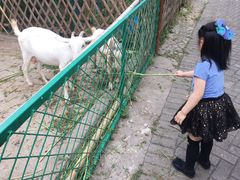 -太阳岛度假酒店