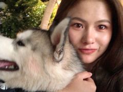 -Husky Go! 哈士奇体验馆·宠物咖啡厅狗咖