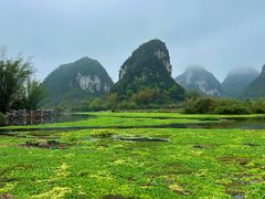 -靖西鹅泉风景区