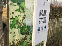 -前小桔亲子创意农场·草莓采摘·露营烧烤