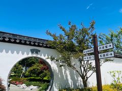 -上海滨江森林公园