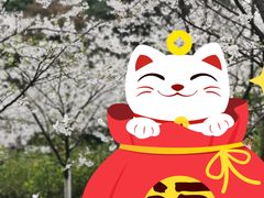-南山植物园
