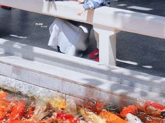 -番禺宾馆丽苑厅