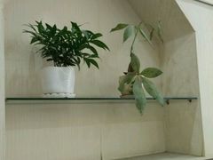 -云南蒙自过桥米线(丰庆路店)