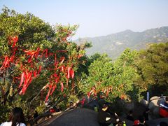 -云洞岩风景区