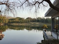 -上海共青森林公园