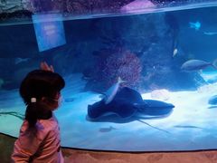 -沈阳海洋探索中心