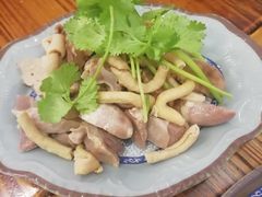 -九斤黄三黄鸡专卖店