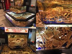 -蟹道乐(道顿堀本店)