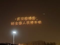 -武汉园博园(武汉自然博物馆)