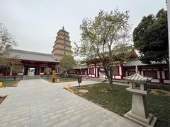 -大慈恩寺(大雁塔)