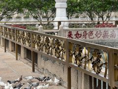 -南普陀寺