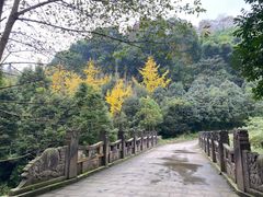-凤栖山