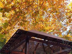 -春晖园度假酒店温泉