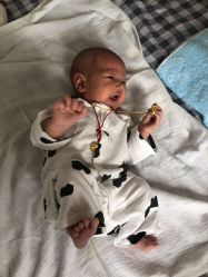 -龙文宝贝上门婴儿理发满月剃胎毛(普陀店)