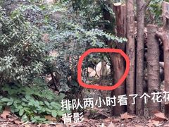 -成都大熊猫繁育研究基地