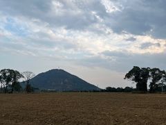 -田园东方蜜桃村的田野营地