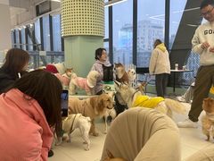 -怪兽屋·羊驼·猫咖·狗咖(俊华广场店)