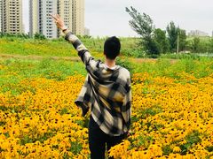 -丁香湖公园