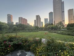 -大望京公园