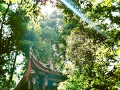 -都江堰普照寺