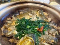 -朱记乳鸽王·非遗石岐乳鸽·全鸽宴(大兴旗舰店)