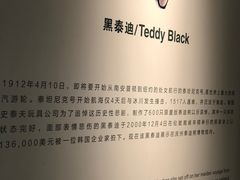 -成都泰迪熊博物馆