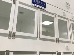 -瑞派·关忠动物医院·异宠专科·犬猫肿瘤·皮肤专科(望京店)