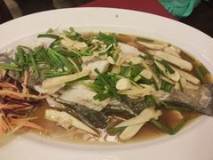 -Daddy Nimman Chiang Mai