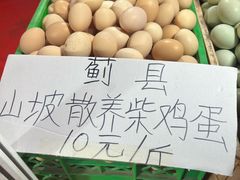 -南翠屏公园