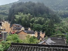 -杨家堂村