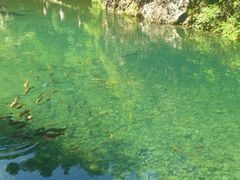 -雁荡山风景名胜区-小龙湫