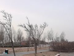 -天津妈祖文化园