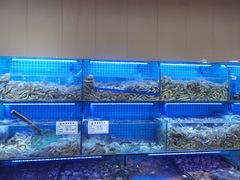 水产区-前王院•巧克力海鲜市集餐厅(万平口店)